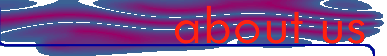 Absmax Web Design Services - About Us